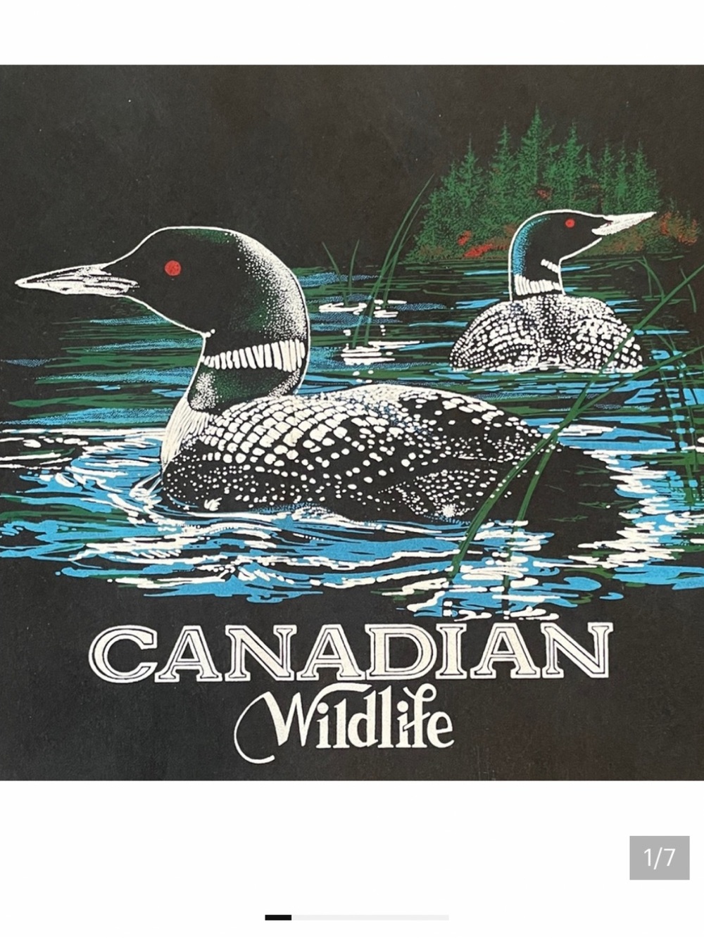 Canadian Wildlife Loon Art Print Textured Paper 18x14 NWOT